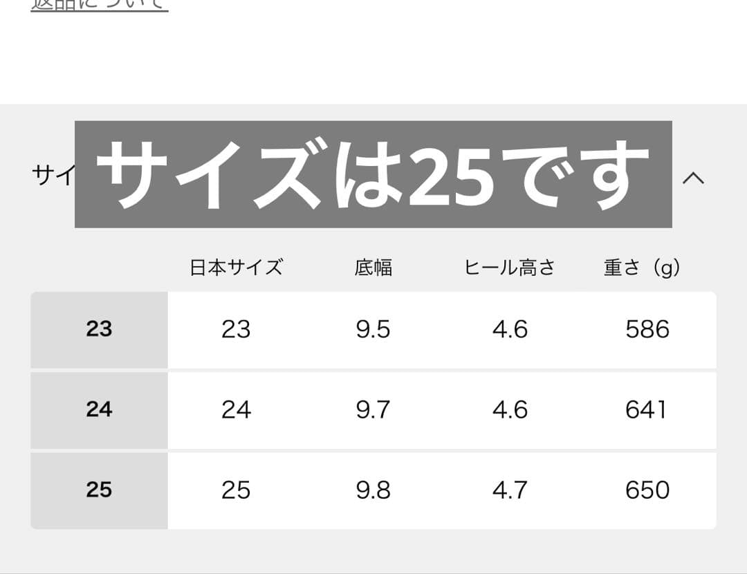 DESCENTE ALLTERRAIN D.TRACE MOC MG ブーツ
