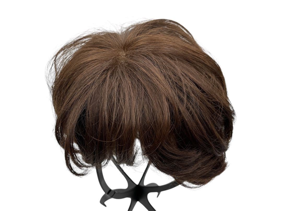 NAO-ART ウィッグ　人毛ミックス　定価14万円