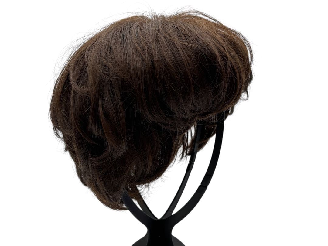 NAO-ART ウィッグ　人毛ミックス　定価14万円