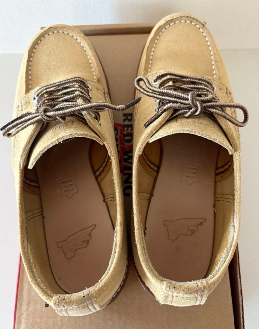 24年製 レッドウィング REDWING 8079 オックスフォード US8D