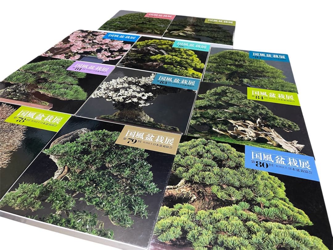 【超お買い得】国風盆栽展 コレクション 11冊　78〜90巻