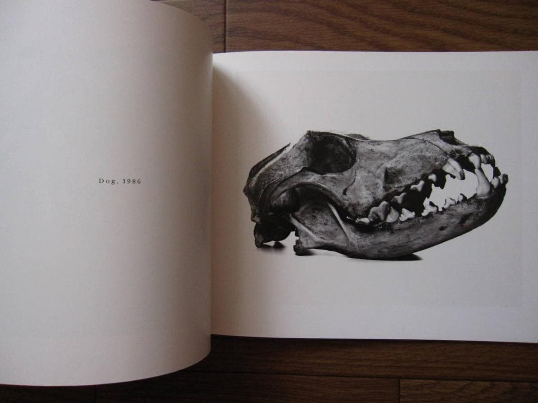 Irving Penn Cranium Architecture　Bone