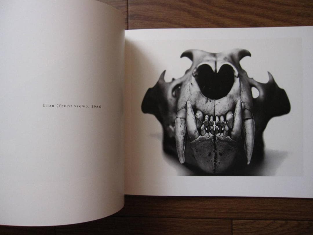 Irving Penn Cranium Architecture　Bone