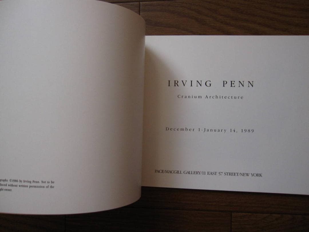 Irving Penn Cranium Architecture　Bone