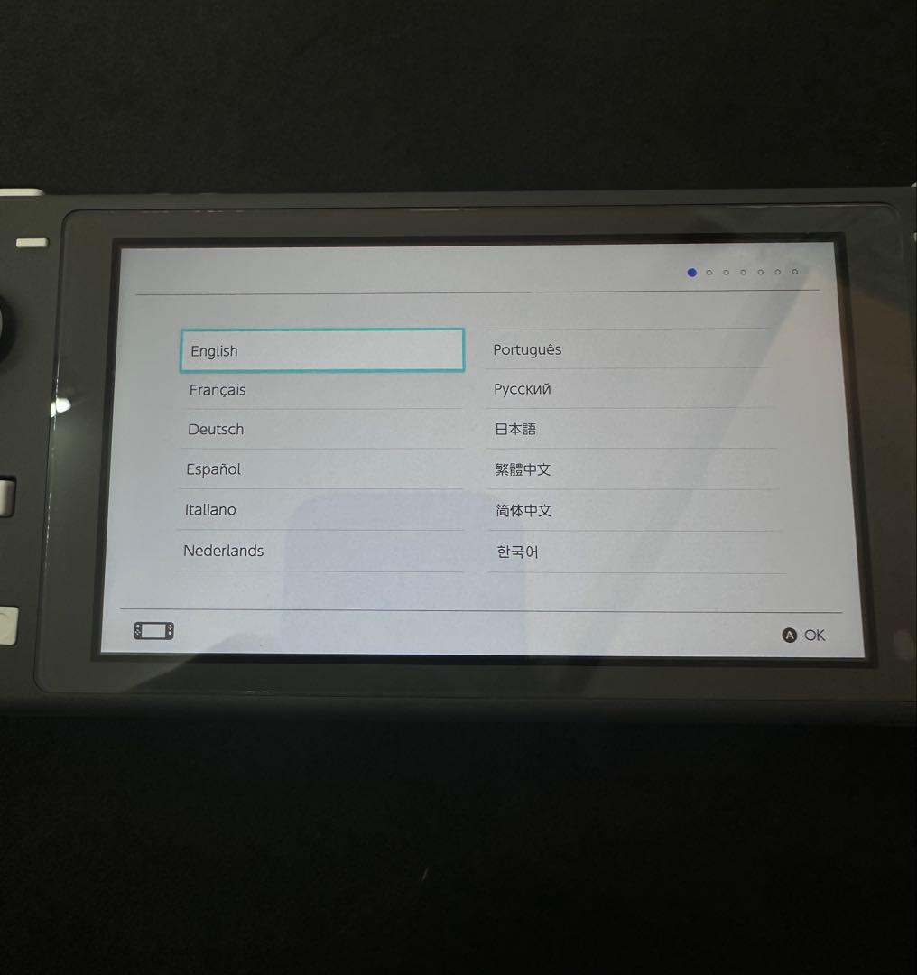 【美品】Nintendo Switch Lite グレー 本体 モンハンライズ付