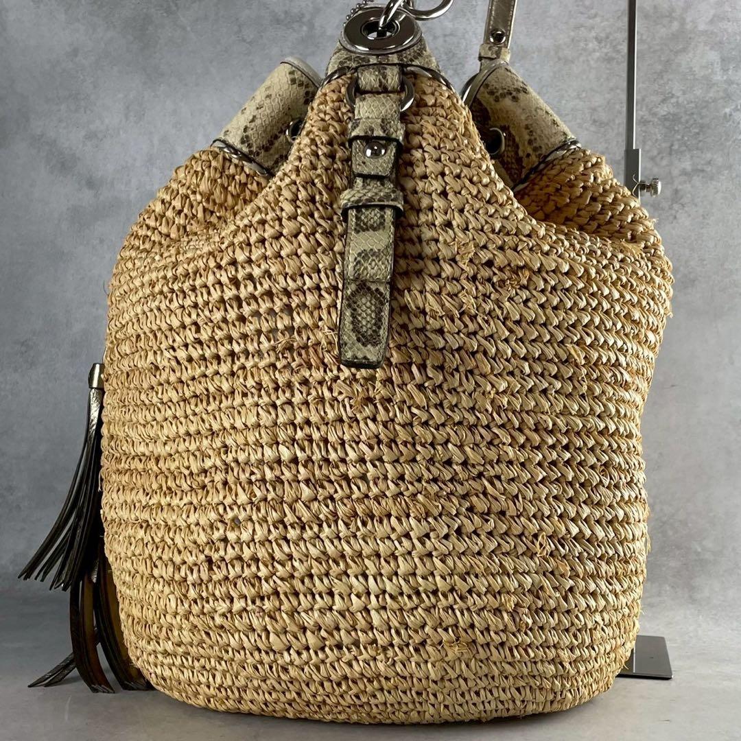 ✨稀少✨美品✨コーチ　カゴバッグ　肩かけ　巾着型　パイソン　大容量