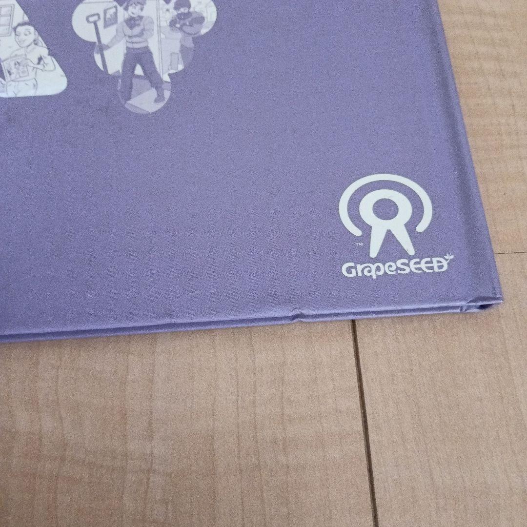 英語教材　グレーブシード Unit 38