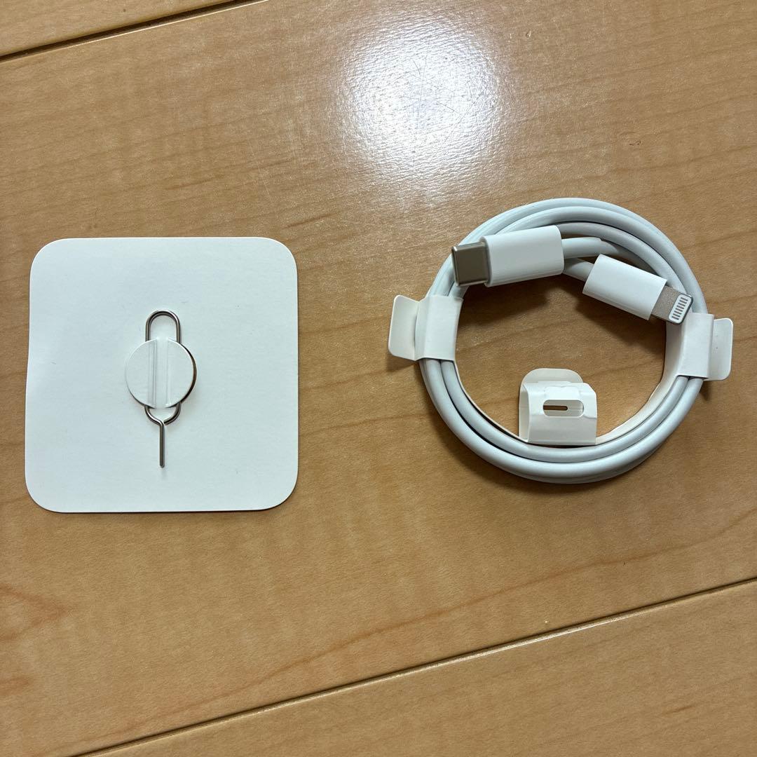 ガロンさん専用　iPhone SE 第2世代 (SE2) 本体 SIMフリー