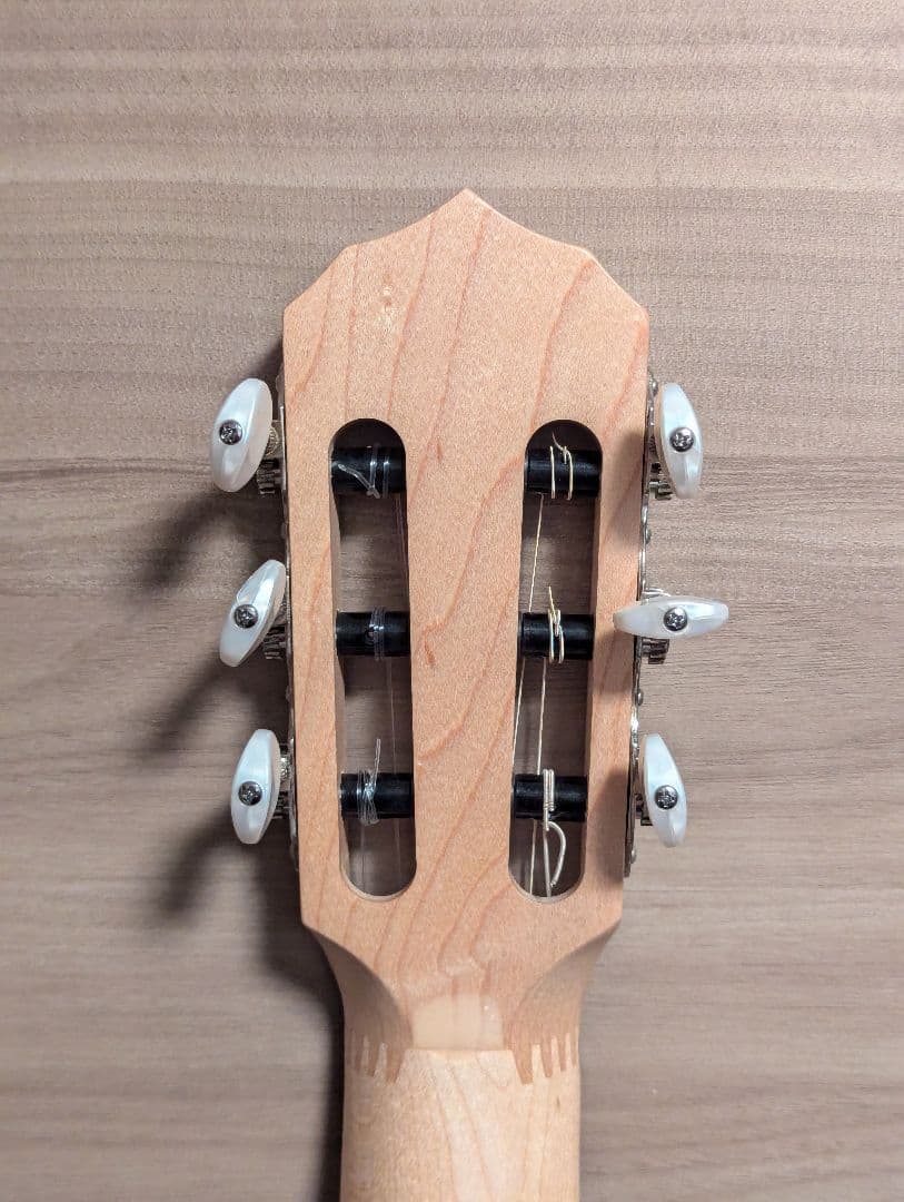 たけ DEERING Goodtime Solana 6