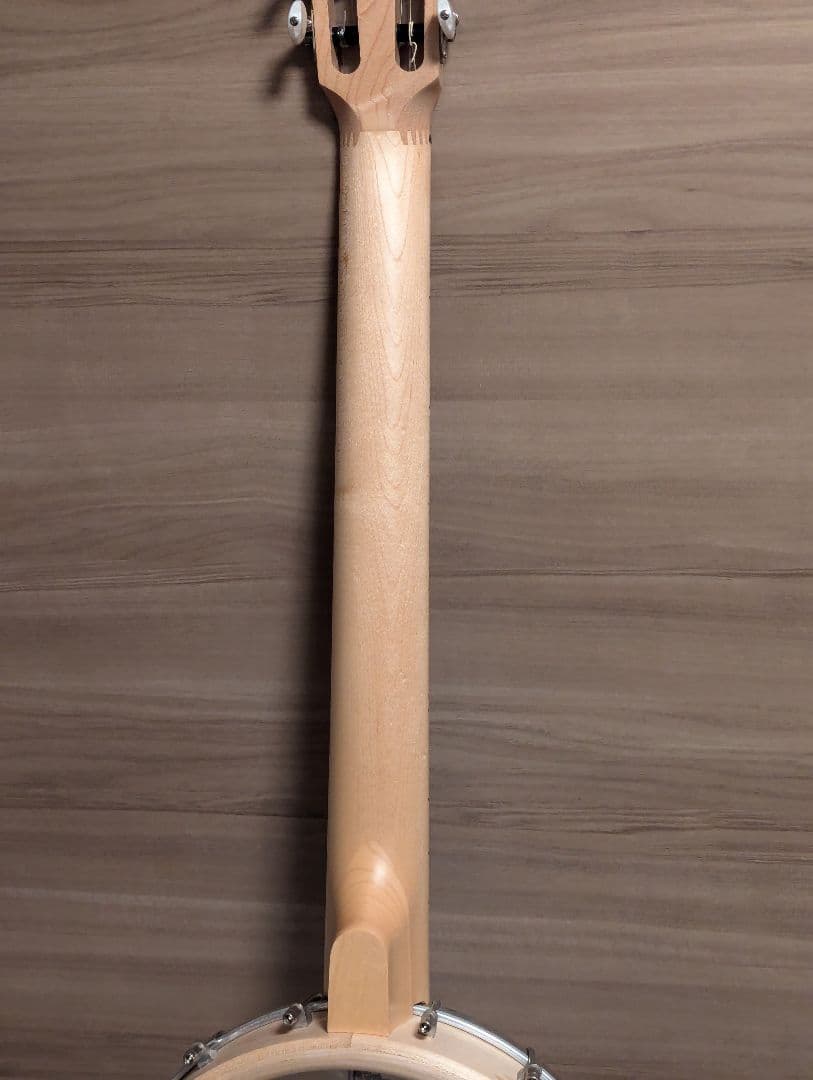 たけ DEERING Goodtime Solana 6