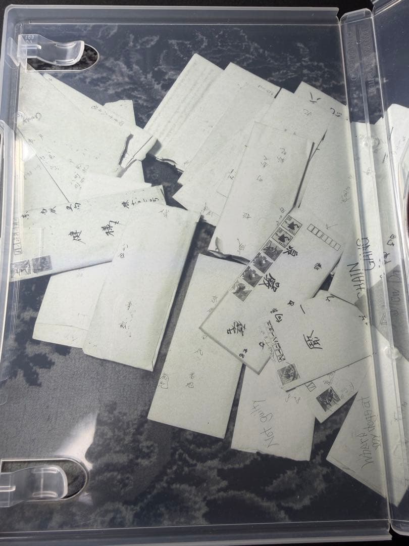 邦楽 ANARCHY DANCHI NO YUME