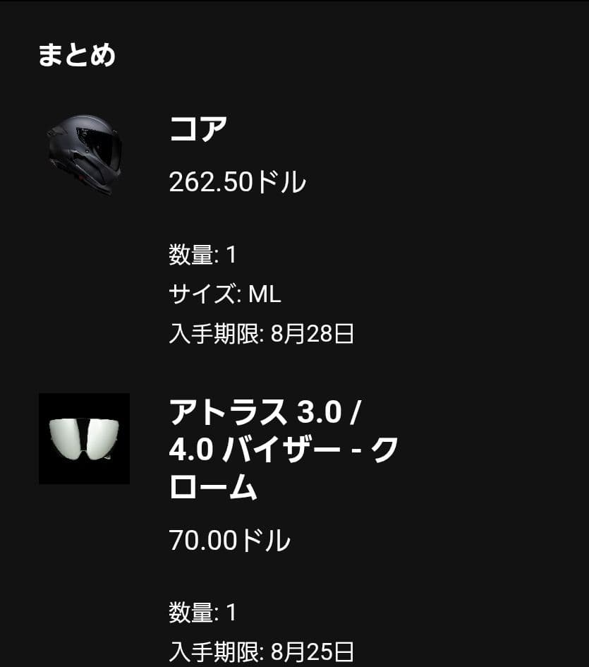 Ruroc コア フルフェイスヘルメット マットブラック M/Lサイズ