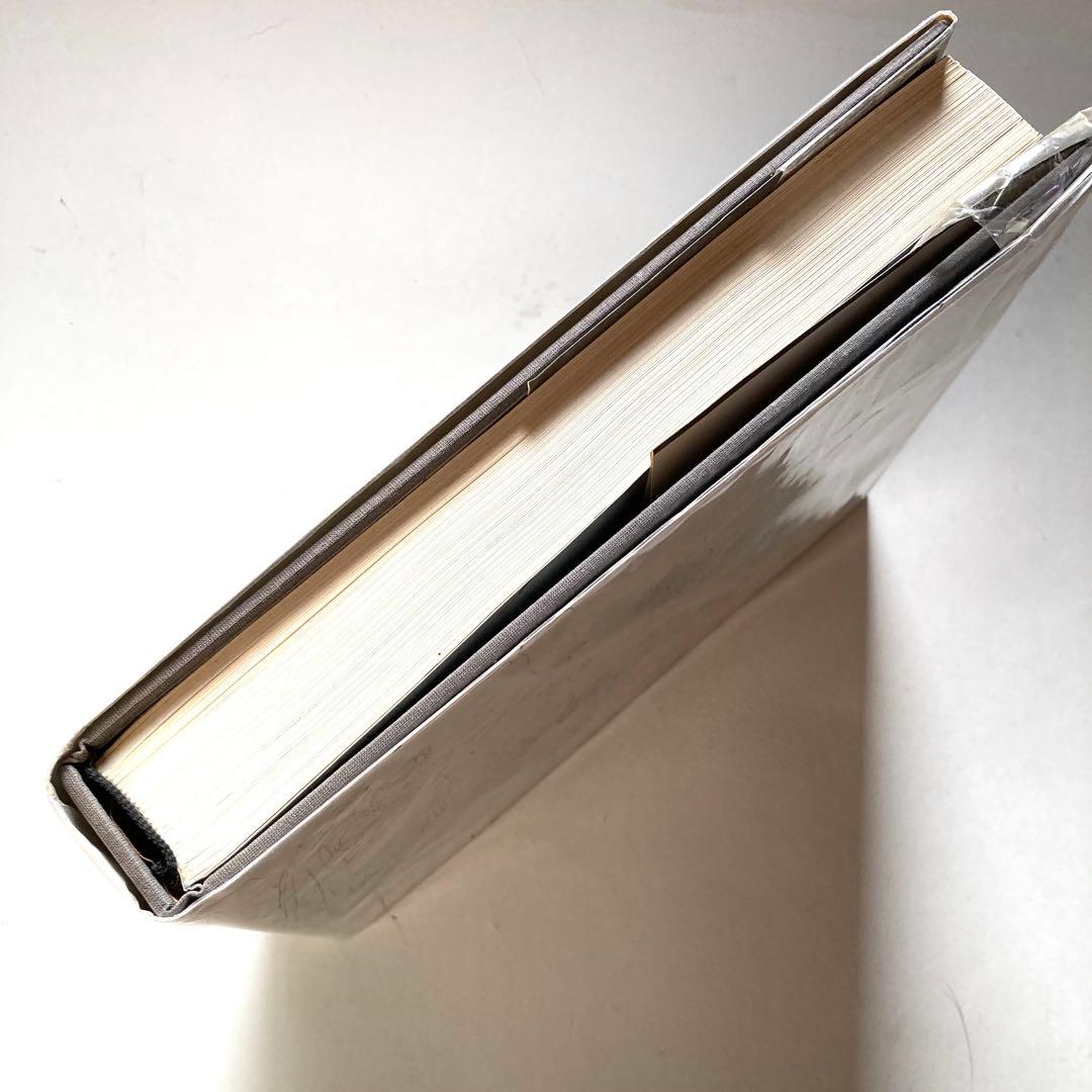 Botticelli dante ボッティチェリ ダンテ 神曲 大型画集