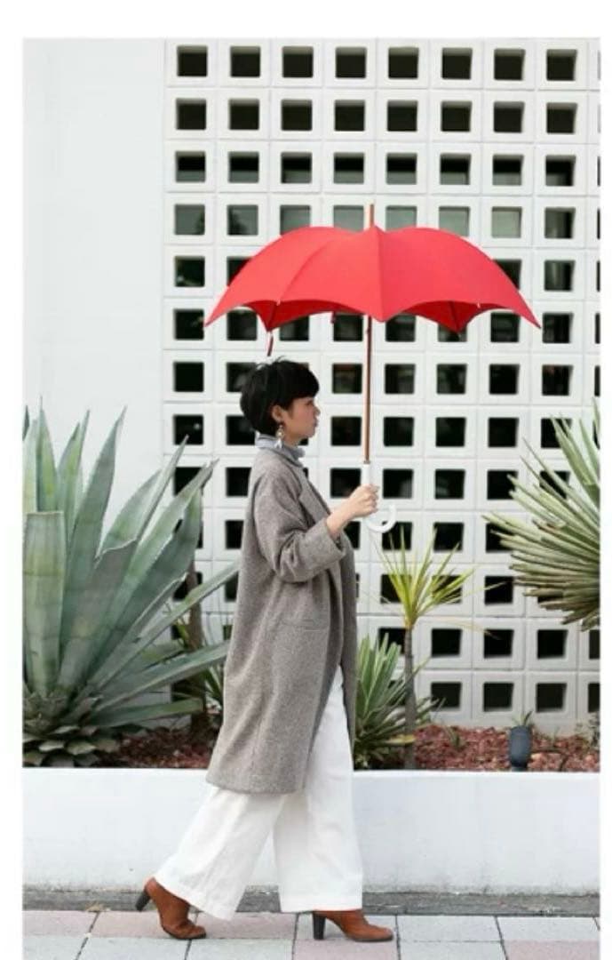 DiCesare Designs/ディチェザレ デザイン 傘