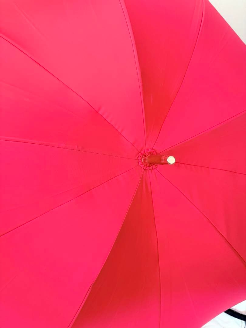 DiCesare Designs/ディチェザレ デザイン 傘