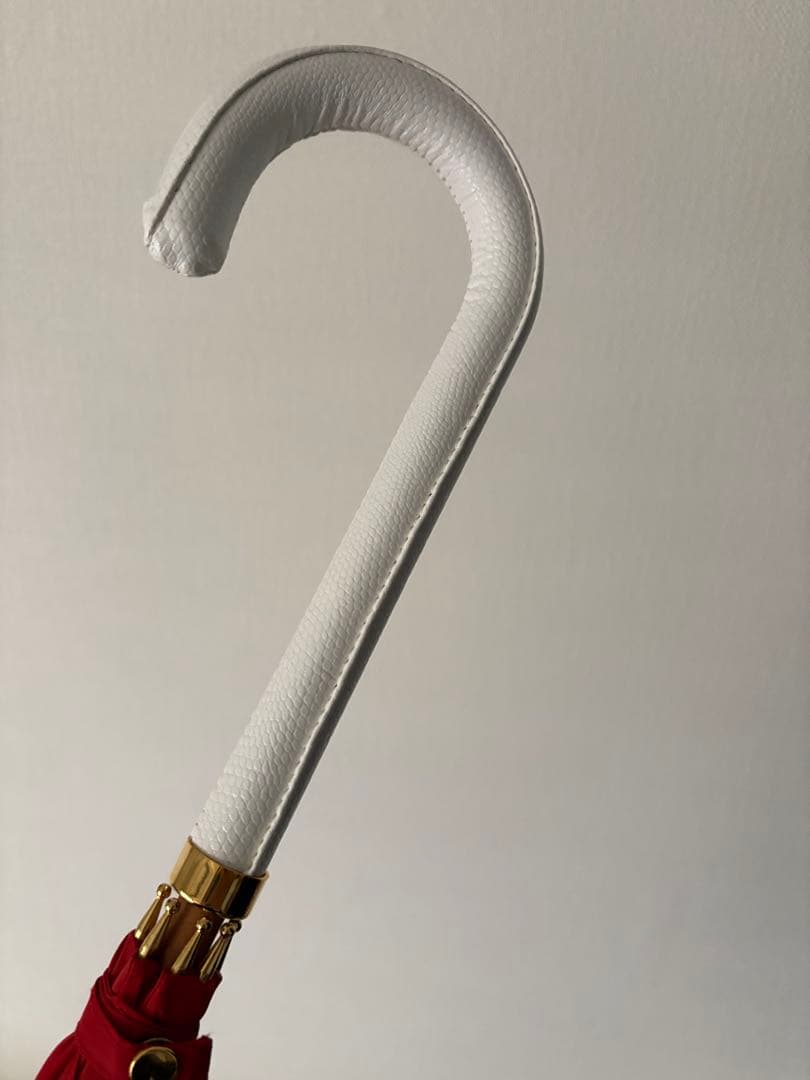 DiCesare Designs/ディチェザレ デザイン 傘