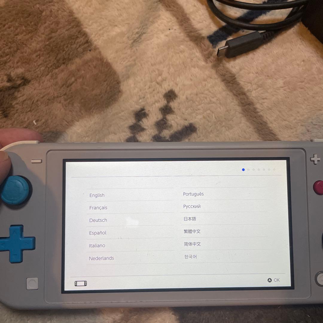 Nintendo Switch Lite グレー/ピンク 充電器付き