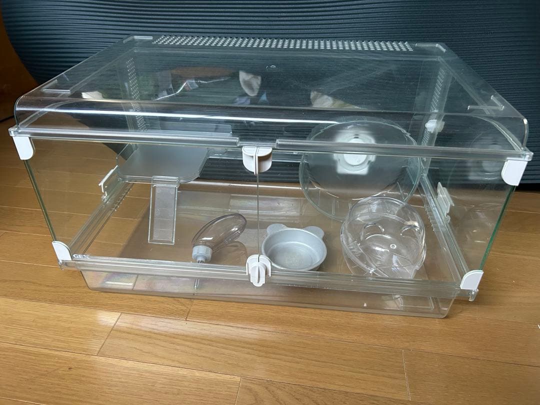 よし▪️グラスハーモニー600