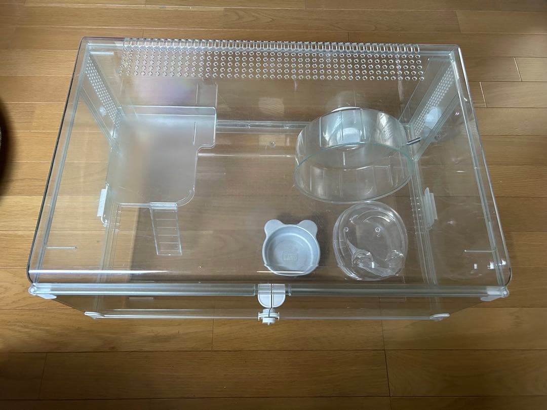 よし▪️グラスハーモニー600