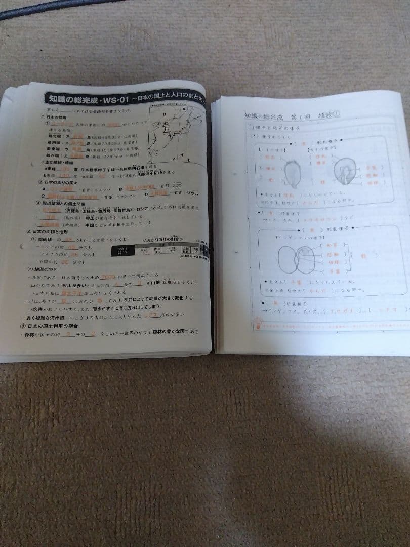 2020 SAPIX ウィークリーサピックス 理科・社会 知識の総完成 赤解答