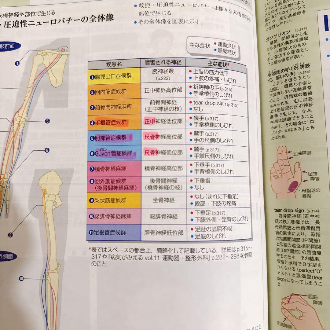 【あいうえお】病気がみえる　14巻セット