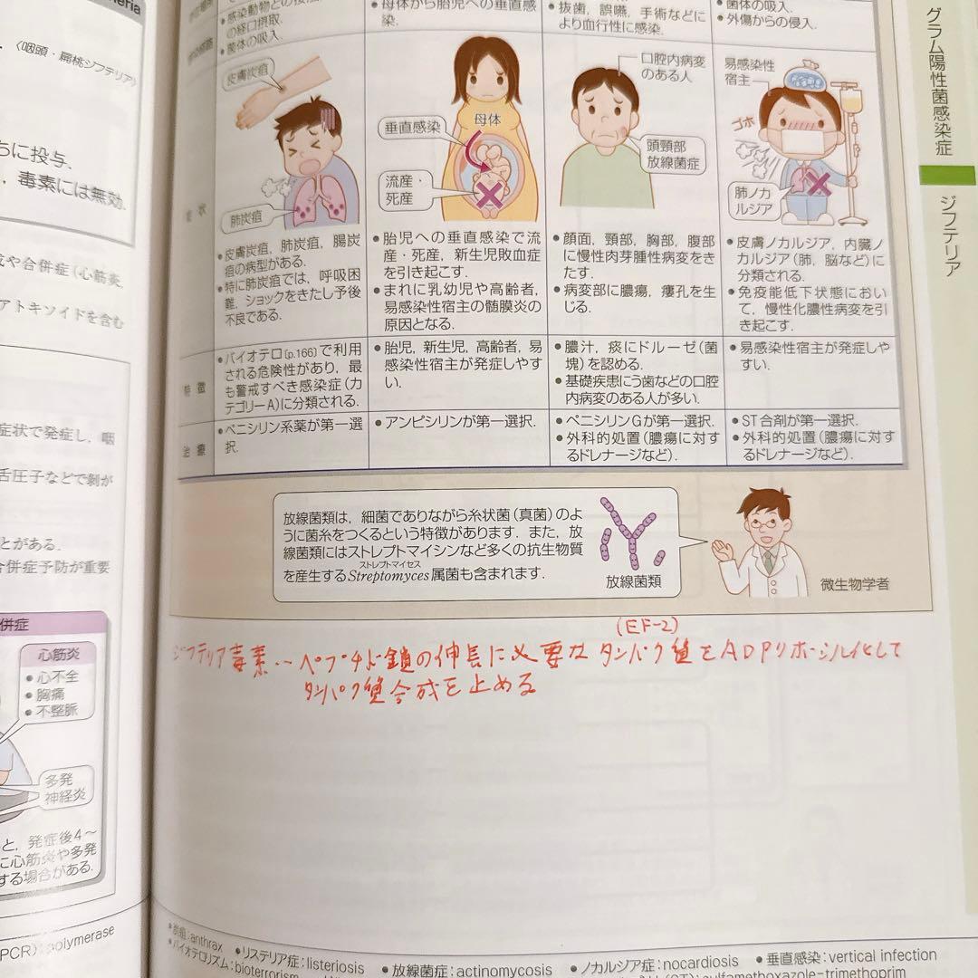 【あいうえお】病気がみえる　14巻セット