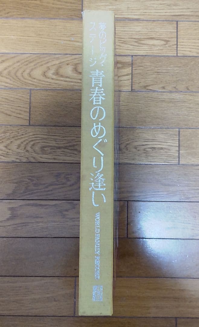 別れのサンバ/キャロル/矢沢永吉/青春のめぐり逢い/激レア/LP/レコード/