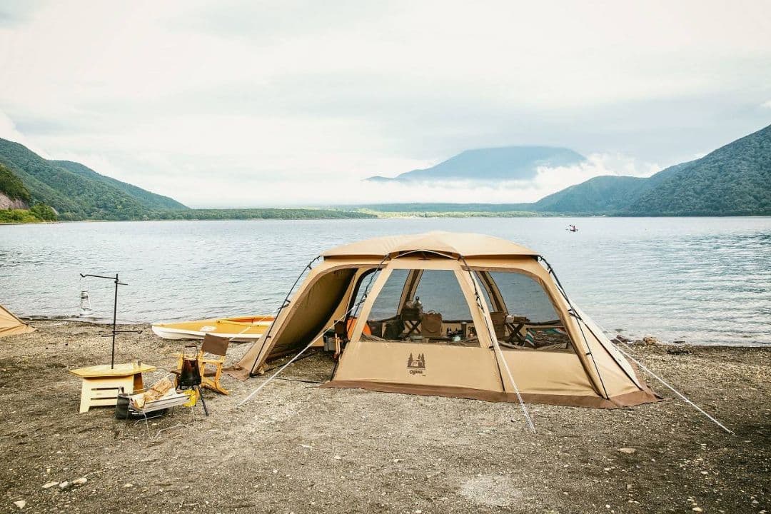 ogawa　ファシル　未使用