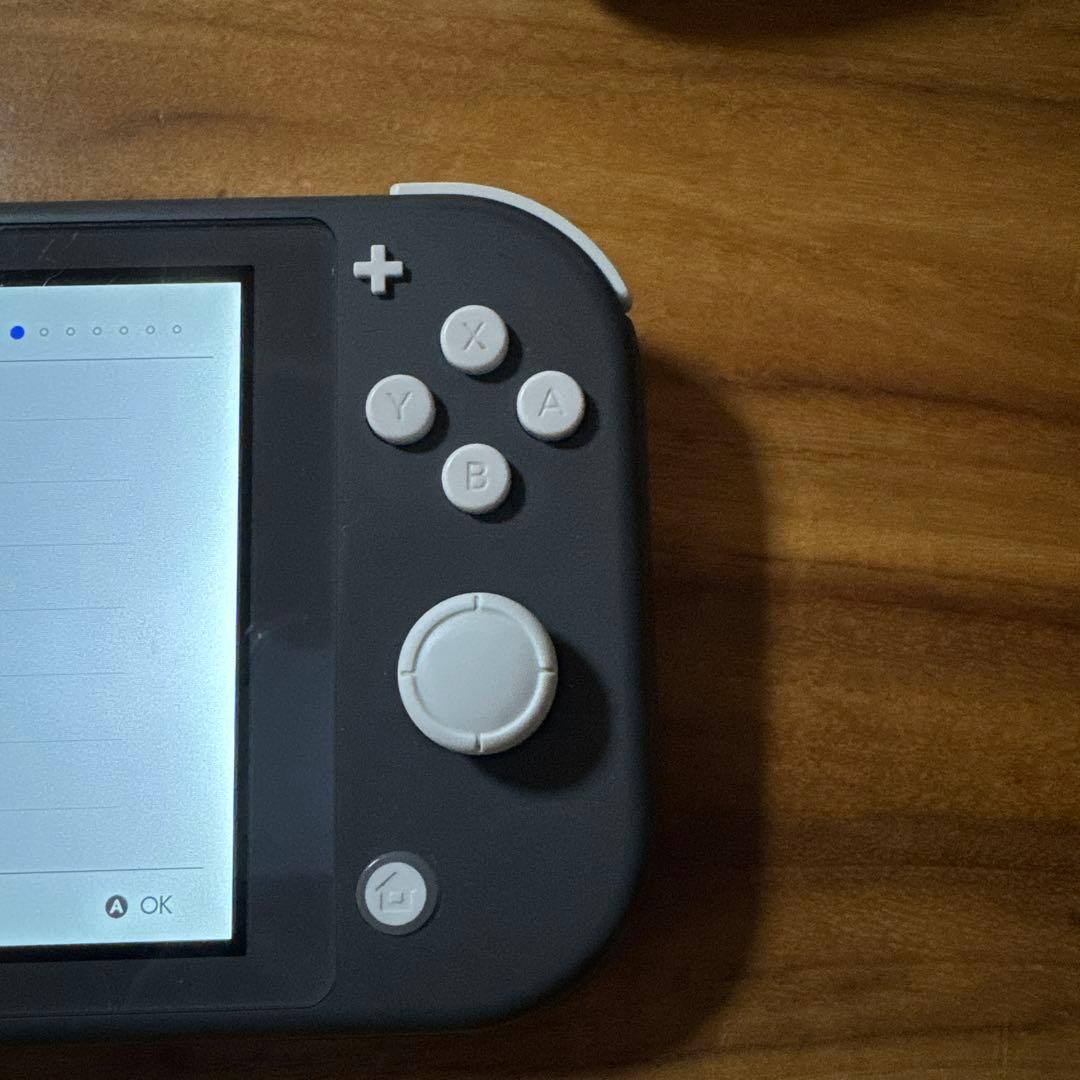 Nintendo Switch Switch lite 本体　ブラック