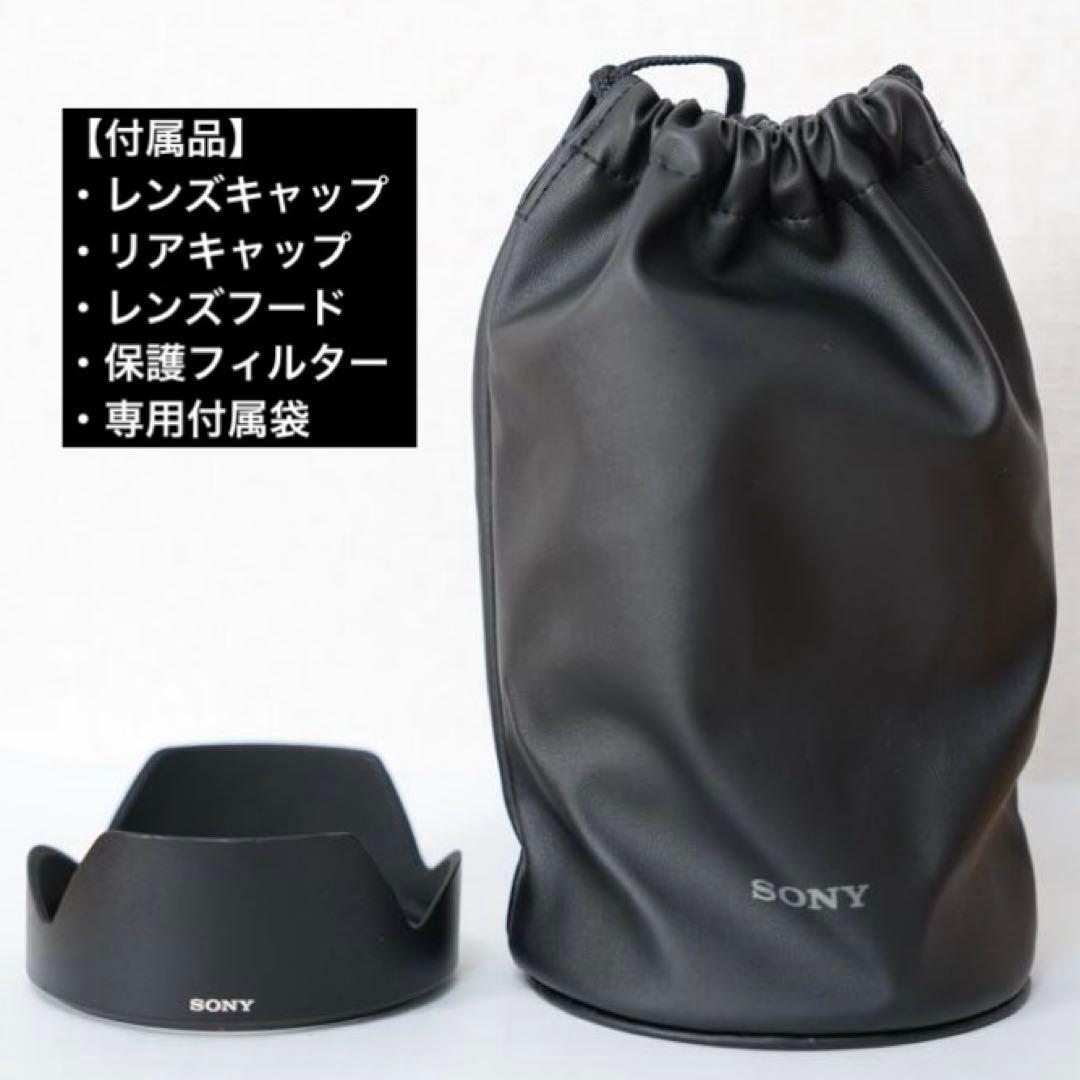 ソニー SONY FE 24-105mm F4 G OSS SEL24105G