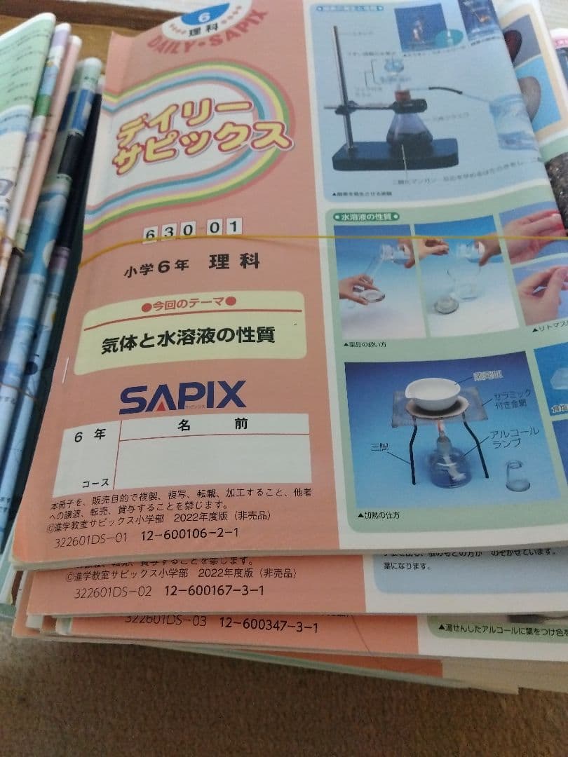 2022年度 SAPIX デイリーサピックス 小学6年 理科