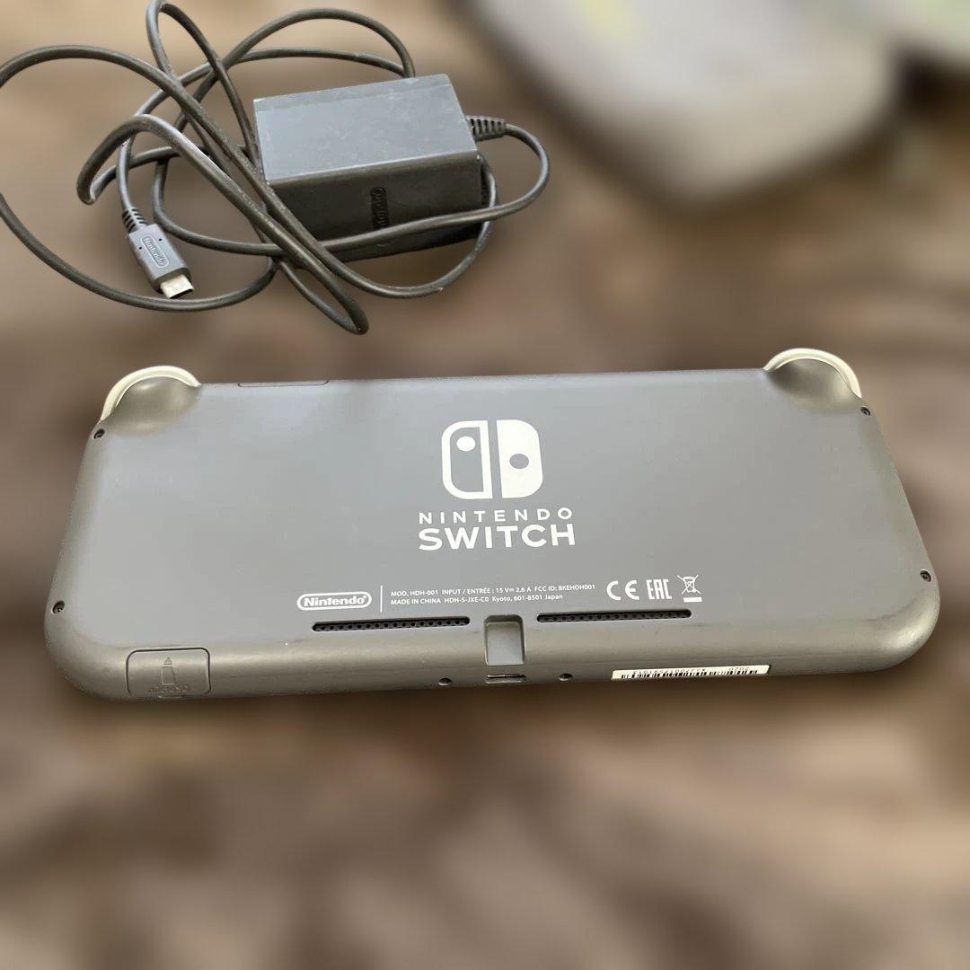 Nintendo Switch Lite + ソフト2本 + 充電器+ケース