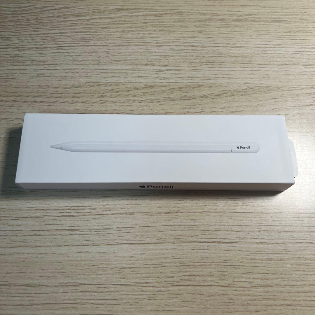 Apple Pencil USB-C アップルペンシル 動作確認済み