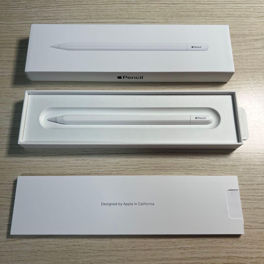 Apple Pencil USB-C アップルペンシル 動作確認済み