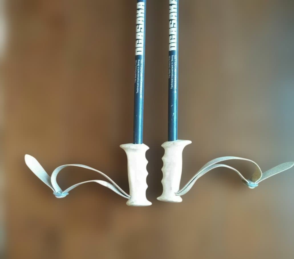 HEADショートスキーボード 　　　　　　BIG EASY ポール付