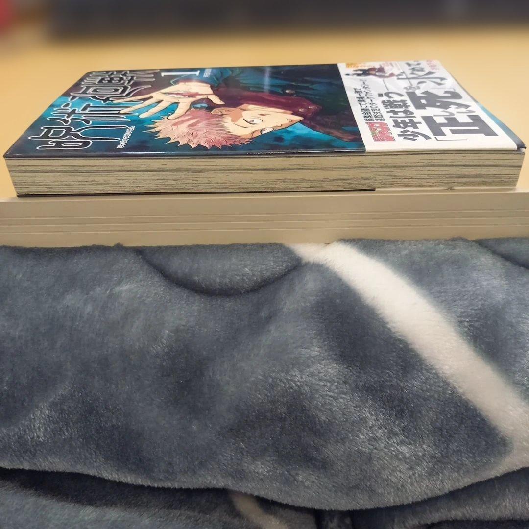 【初版】【帯付き】呪術廻戦 1巻　初版　帯付き