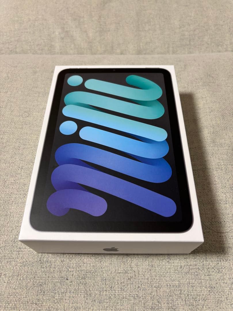 iPad mini 6 256GB WiFi セルラーモデル スペースグレイ