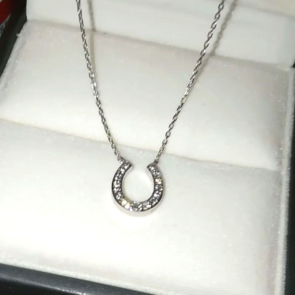 Vendome Aoyama　pt950　ホースシューネックレス 定価12万