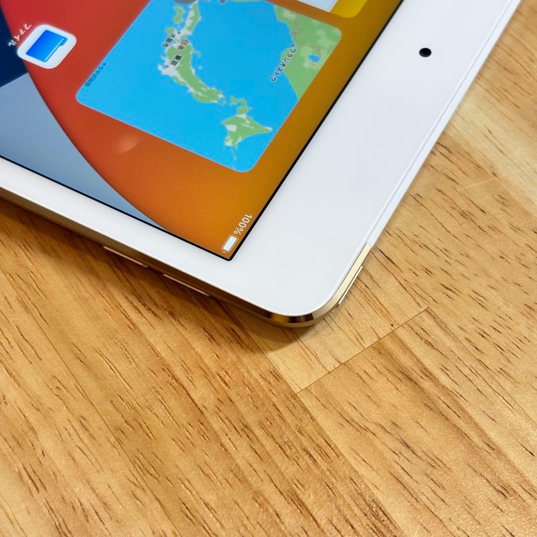 iPad mini4 16GB SIMフリー