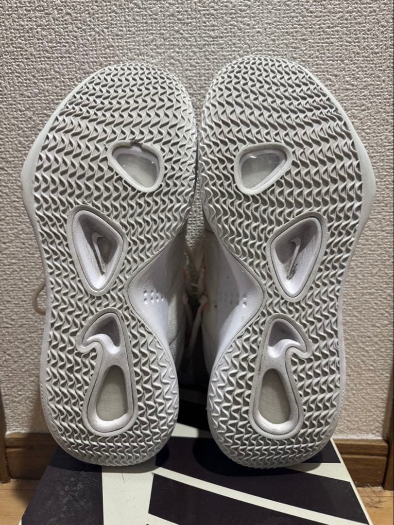 Nike ハイパーダンク 2018 Low