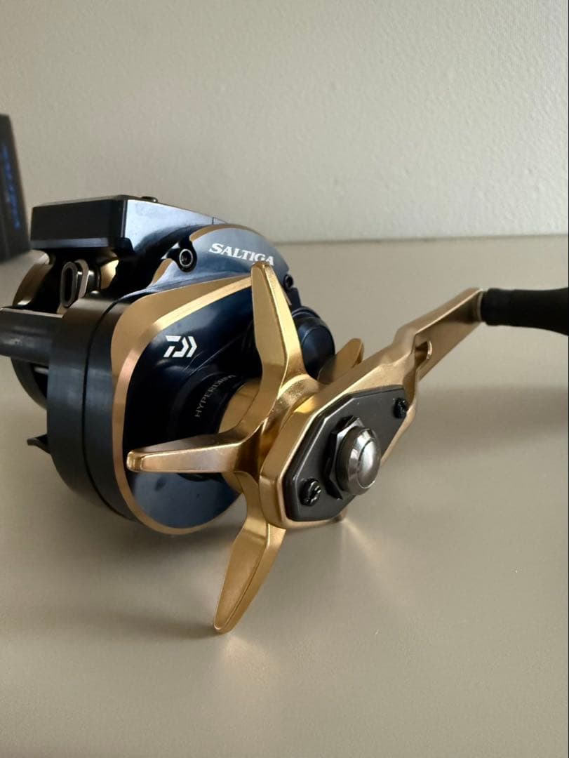 ダイワ 21ソルティガIC 300HL-SJ