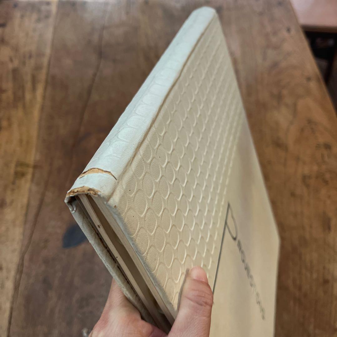 洋書　Projections in Steel シドミード　Syd Mead