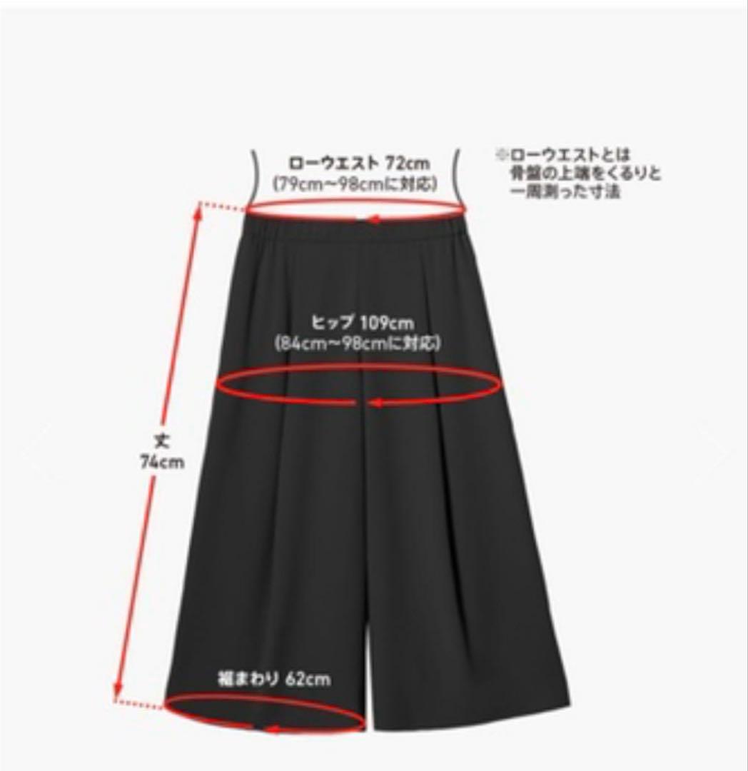 デイジーリンフォクシー \"SHARA SHARA PANTS Ⅱ\" Fサイズ