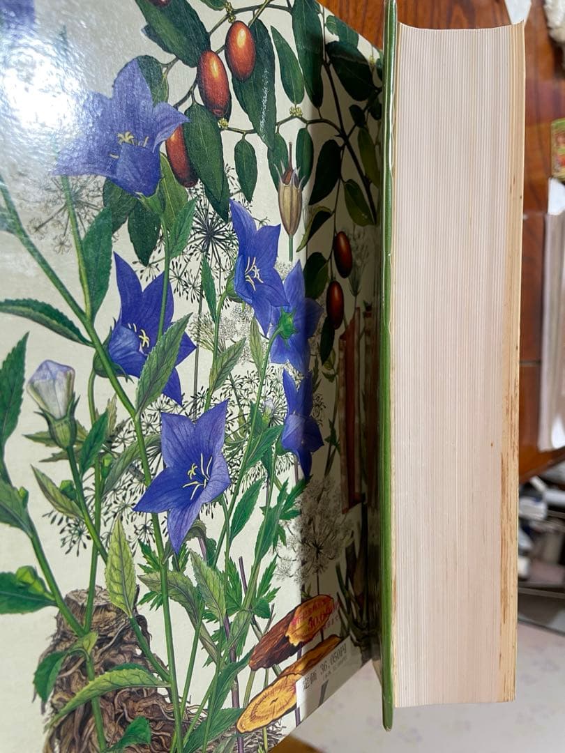 原色牧野和漢薬草大図鑑