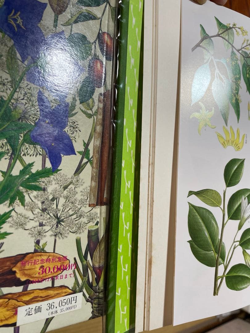 原色牧野和漢薬草大図鑑