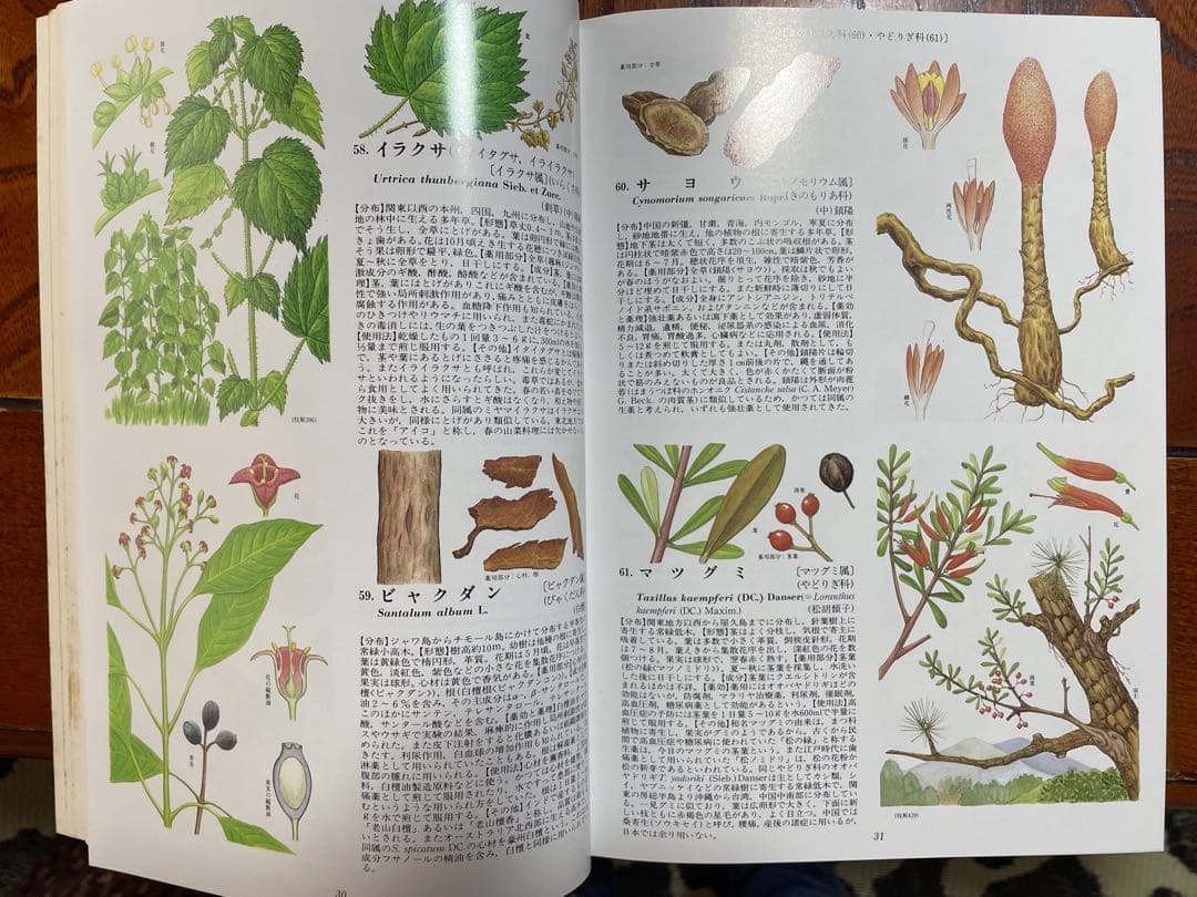 原色牧野和漢薬草大図鑑