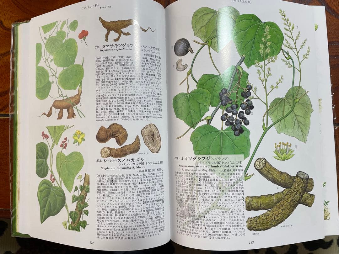 原色牧野和漢薬草大図鑑