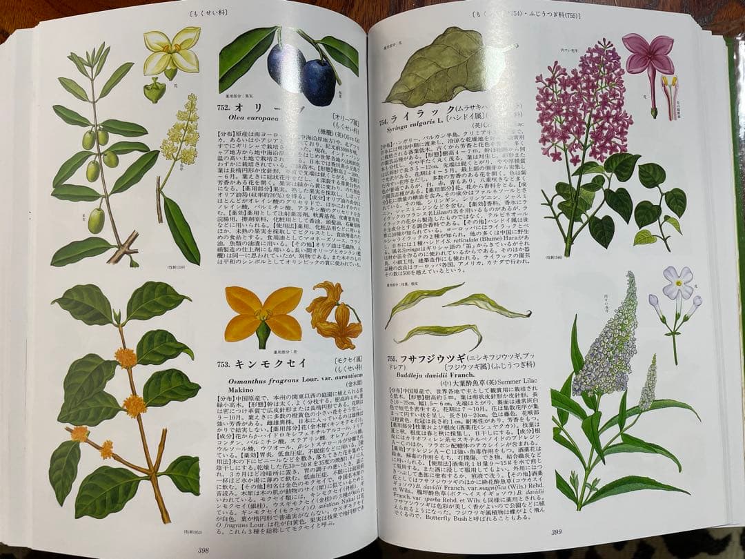 原色牧野和漢薬草大図鑑