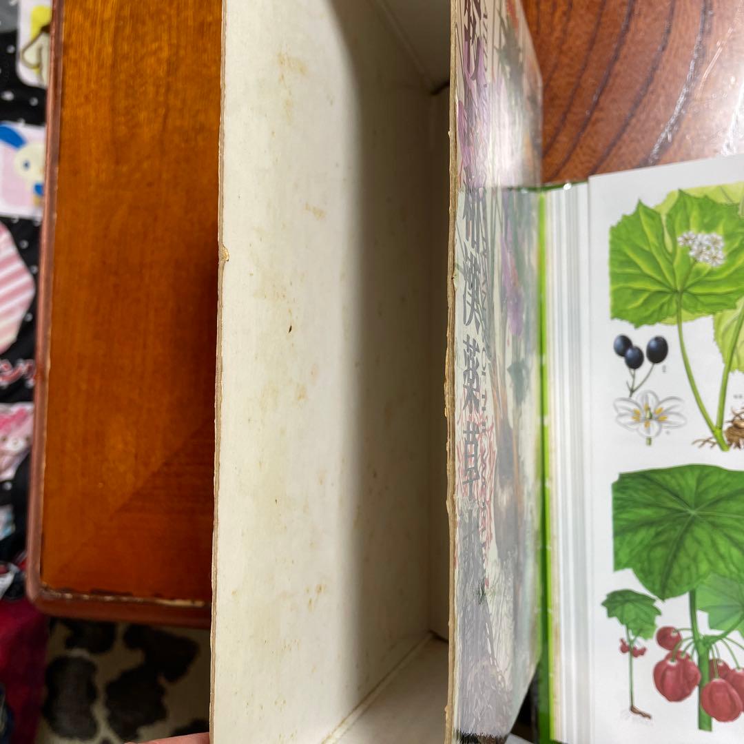 原色牧野和漢薬草大図鑑