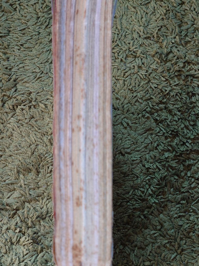 週刊少年ジャンプ 1995年25号 ドラゴンボール最終回号 1995年7号 2冊